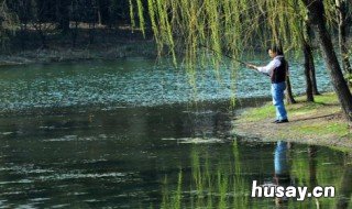 早春东南风能钓鱼吗 初春刮东南风好钓鱼吗