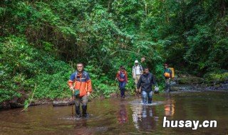 在野外只有一个弯刀怎么做一个捕捉器 怎么做一把弯刀