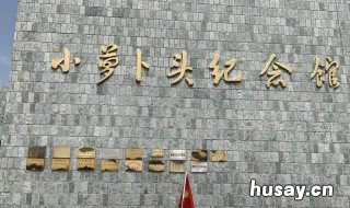 小萝卜头的故事 小萝卜头的故事演讲稿300字