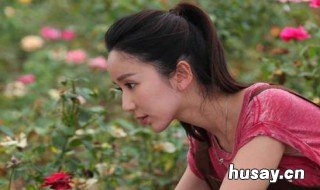 宋杨张莉圆什么电视剧 张莉圆的电视剧