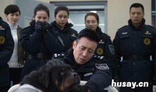 警花与警犬樱桃打110是第几集 警花与警犬,樱桃打110在哪一集