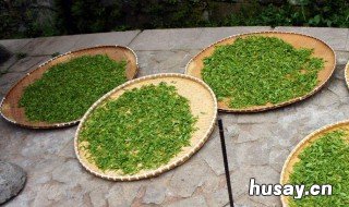 喝过的茶叶怎么发酵成肥料 茶叶怎么变肥料