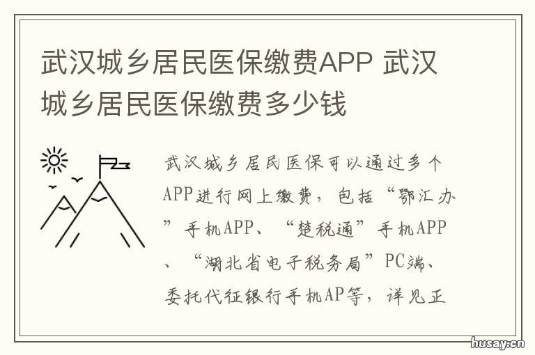 武汉城乡居民医保缴费APP 武汉城乡居民医保缴费记录查询