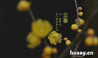 早立春和晚立春有啥不同 早立春和晚立春有啥不同之处