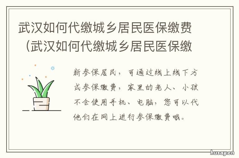 武汉如何代缴城乡居民医保缴费 湖北代缴城乡居民医保缴费