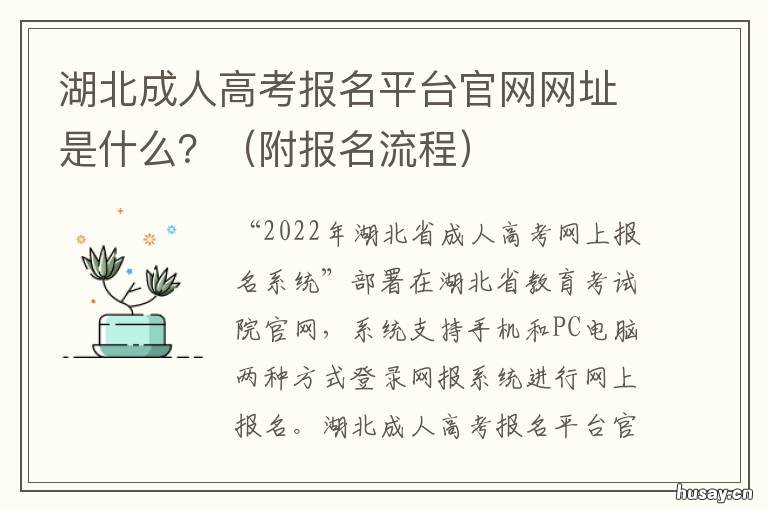 湖北成人高考报名平台官网网址是什么? 湖北成人高考报名平台官网网站