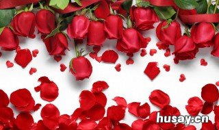 每个月的情人节是几号 每个情人节是几月几号