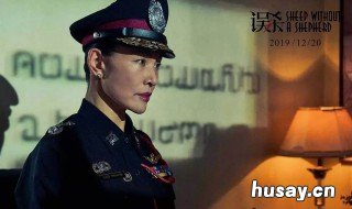 误杀评价 误杀深度解读