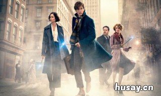 神奇动物在哪里和哈利波特的关系 神奇动物在哪里哈利波特的关系