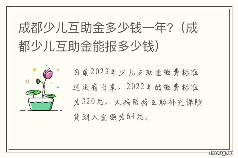 成都少儿互助金多少钱一年? 成都少儿互助金费用