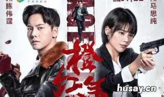 叶望龙刘子光是什么电视剧 刘子光和叶望龙