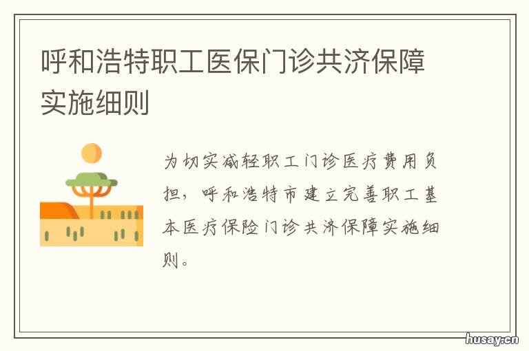 呼和浩特职工医保门诊共济保障实施细则 省医保共济市医保