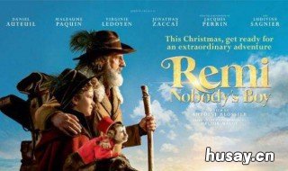 苦儿流浪记的主要内容 苦儿流浪记的主要内容400字