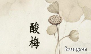 酸梅小说写什么 酸梅小说具体内容