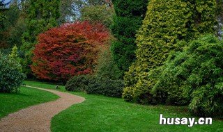 东坑绿化养护园林绿化特点 东坑绿化养护园林绿化特点分析