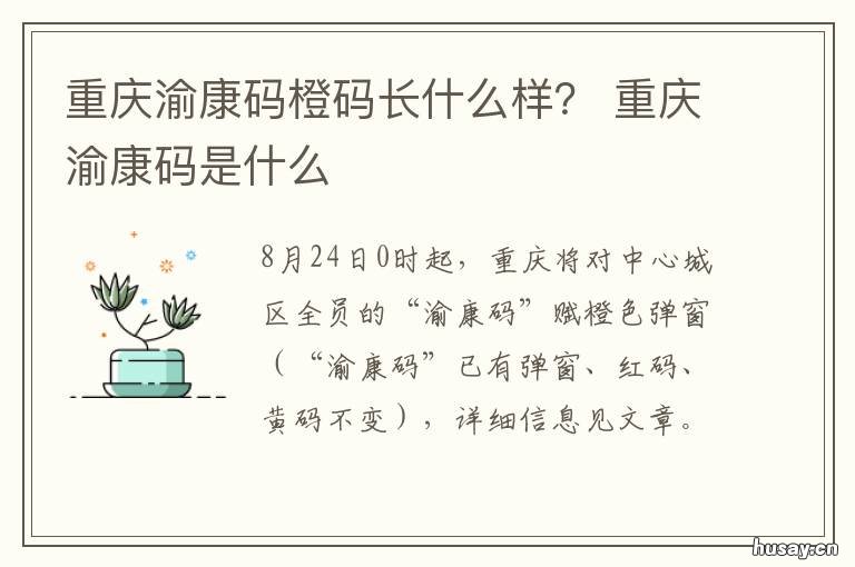 重庆渝康码橙码长什么样? 重庆渝康码红码