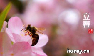 2020年正月十一几点打春 2020年几月几日打春