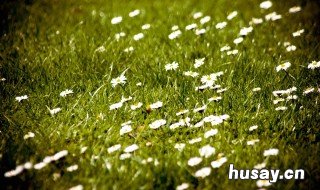 唯美语录 唯美语录精选短句励志