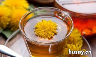 蒲公英茶可以天天喝吗 蒲公英茶可以天天喝吗可以减肥吗