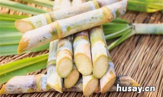 甘蔗品种 广西最好的甘蔗品种