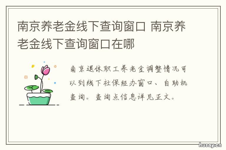 南京养老金线下查询窗口 南京养老金账户查询