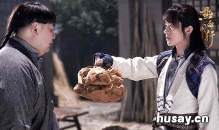 热血同行在哪个卫视播