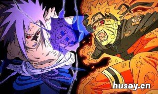 火影忍者那几集最好看? 火影忍者中最好看的几集