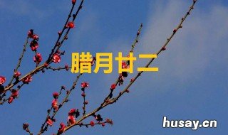 2013年腊月二十二是几号 2011年腊月二十八是几号