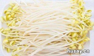 豆芽太多吃不完怎么办 豆芽吃多了怎么办
