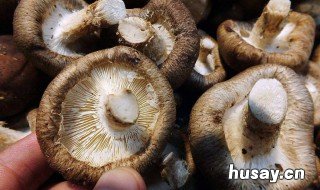 血脂高吃什么好 血脂高不能吃什么食物