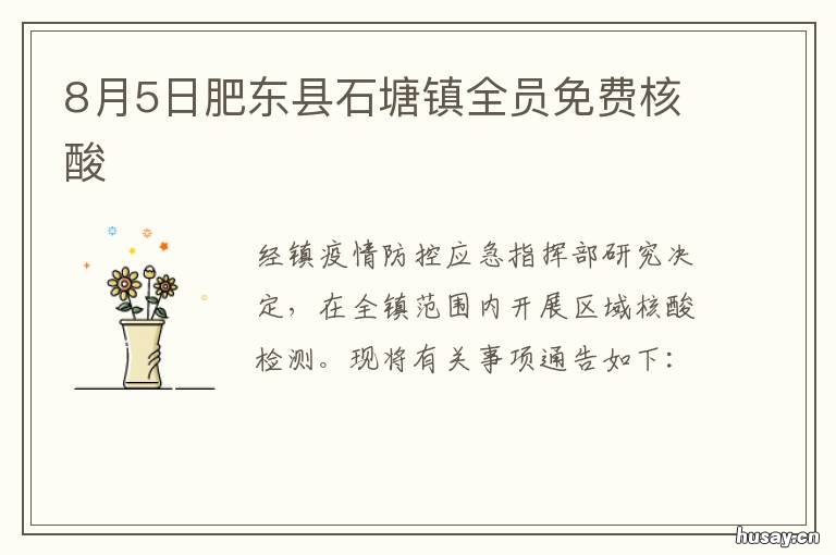8月5日肥东县石塘镇全员免费核酸 肥东县石塘镇政府网站