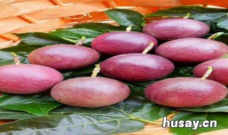 百香果结果后多久成熟 百香果结果时间有多长