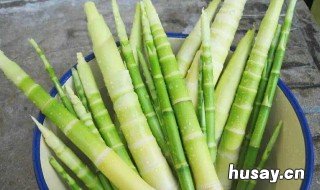 矮竹子品种有哪些,有什么优点 矮小的竹子品种有哪些