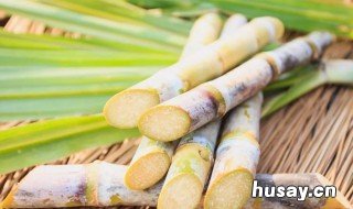 吃甘蔗有什么好处 晚上吃甘蔗有什么好处