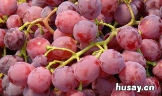 吃红提有什么好处 常吃红提有什么好处