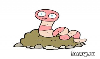 蚯蚓钓鱼方法 蚯蚓钓鱼的方法