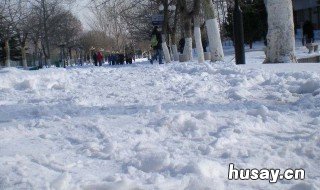 为什么南方不下雪 为什么南方不下雪用英语怎么说