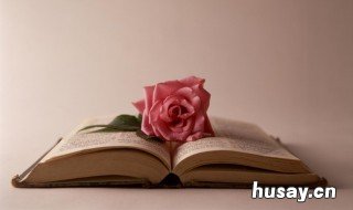 书琴这个名字的含义 给琴取名字