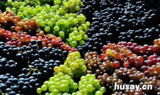 多吃葡萄有什么好处 多吃葡萄的好处和坏处