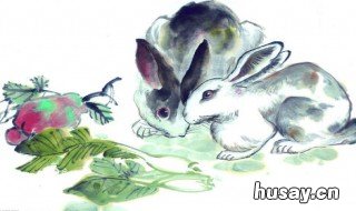 2020年属兔人的全年运势 2020年属兔人的全年运势女性1975