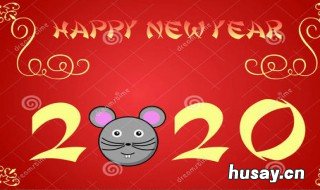 2020年是双闰年吗 2020年双闰年是什么意思