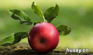 早上空腹吃苹果好不好 早上空腹吃苹果好么
