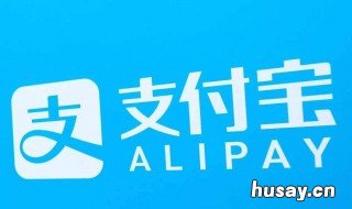 支付宝登录密码忘记了怎么办 支付宝登录密码忘记了怎么办不能用短信