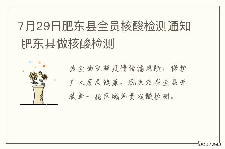 7月29日肥东县全员核酸检测通知 肥城 核酸