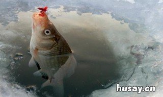 冬天用什么小药钓鱼比较好 秋天钓鱼用什么小药好