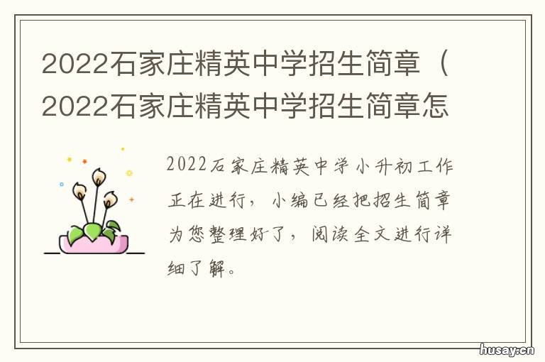 2022石家庄精英中学招生简章 石家庄精英中学2021小升初招生简章