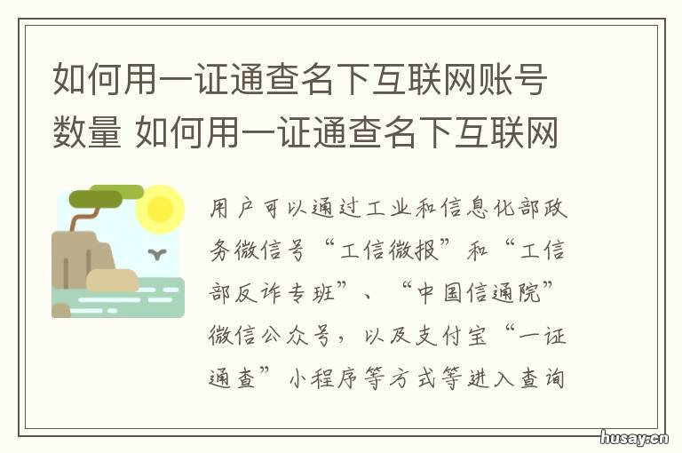 如何用一证通查名下互联网账号数量 “一证通查”