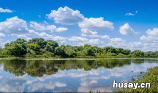 描写夏天的四字词语 描写夏天的四字词语二年级