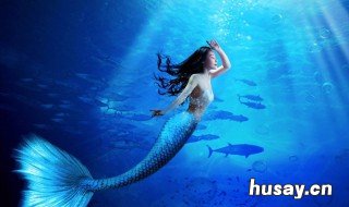 美人鱼2什么时候上映 美人鱼2什么时候上映豆瓣