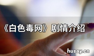 白色毒网电视剧大结局 白色毒网电视连续剧